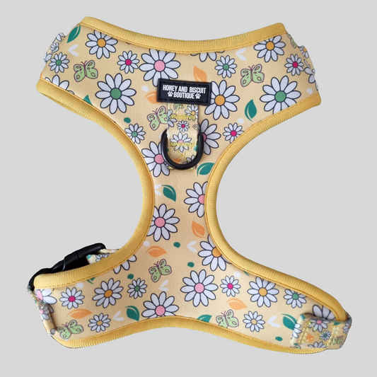 Pups A Daisy Yellow – Harness, Lead & Collar Bundle (3 Piece Set)