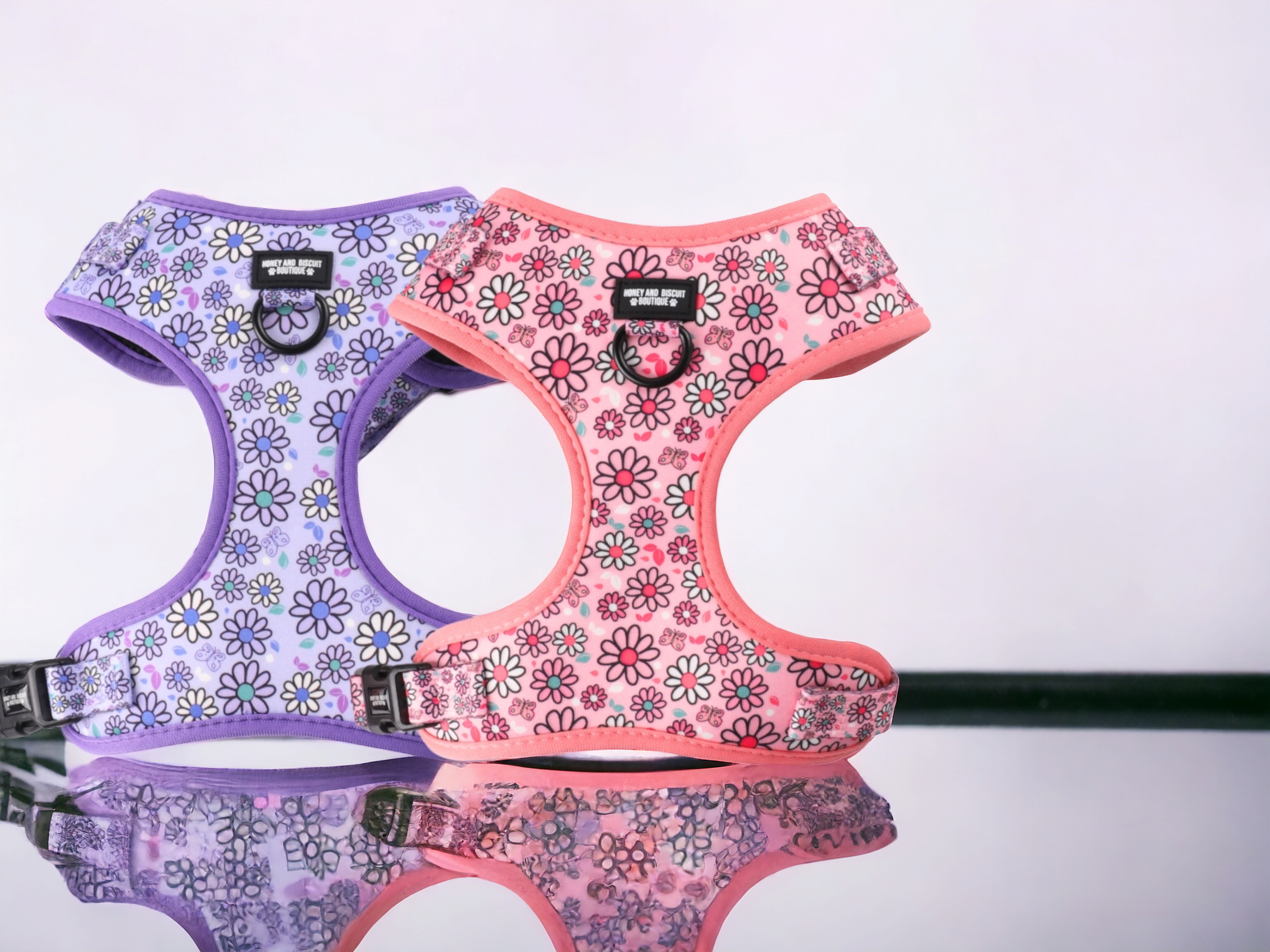 The Importance of an Adjustable Harness for Your Dog