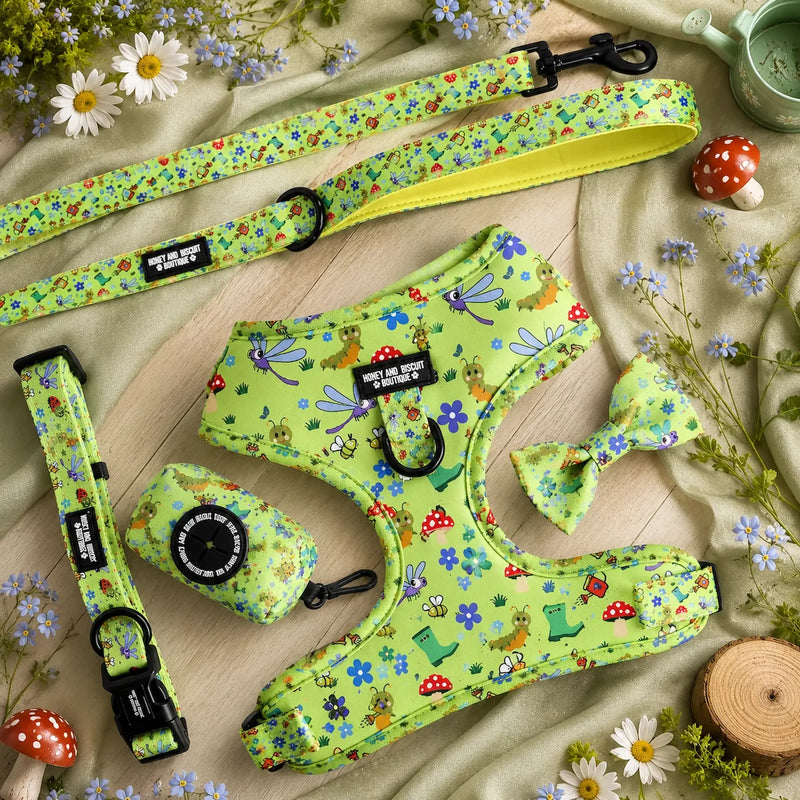 Walkies Bundle