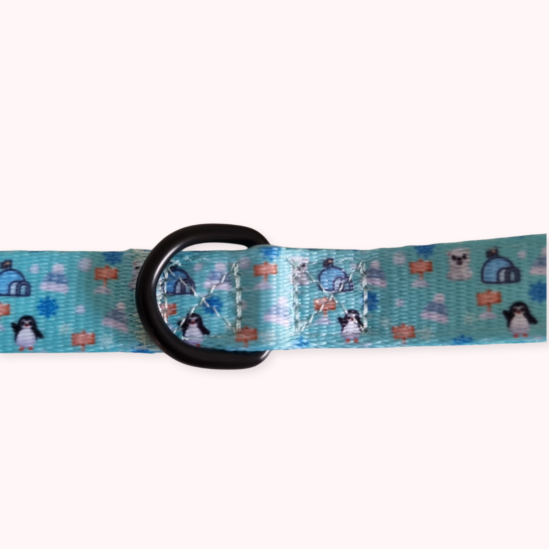 Dog Lead- Frosted Delight