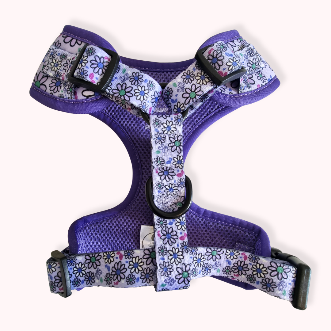 Pups A Daisy Lilac – Complete Walkies Bundle for Small Dogs (5 Piece Set)