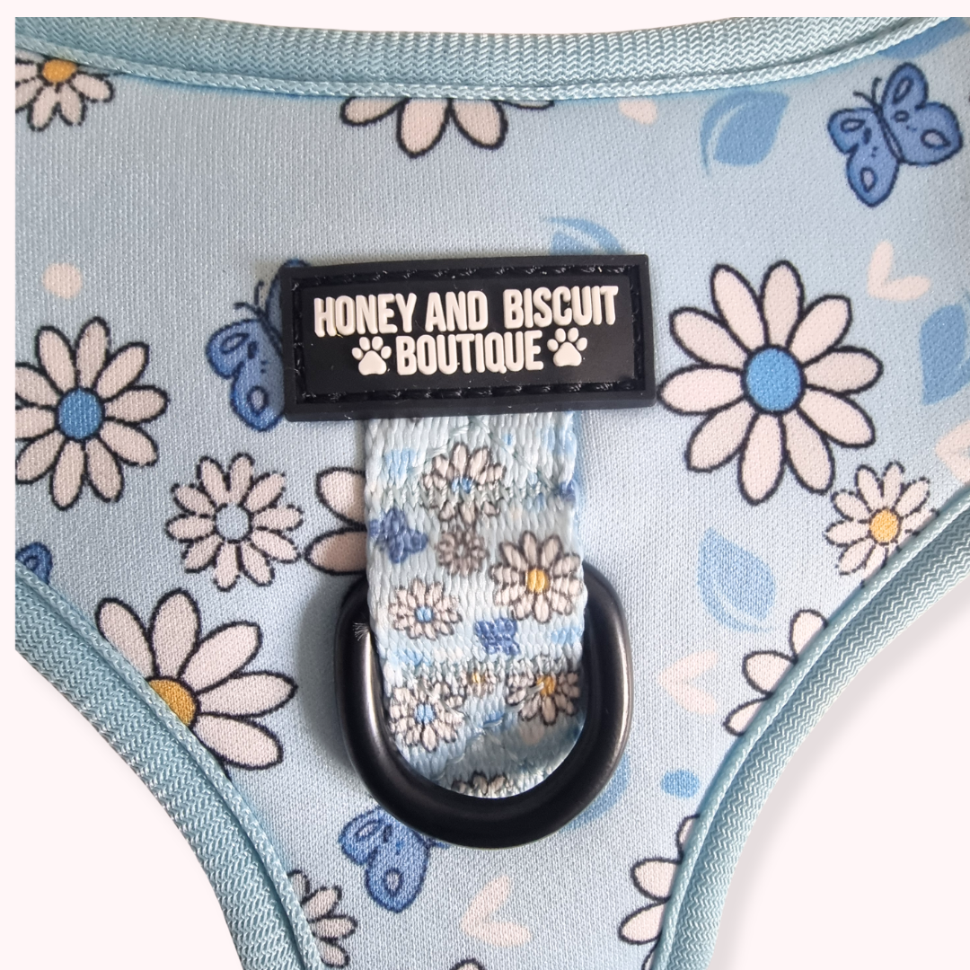 Pups A Daisy Blue – Adjustable Floral Dog Harness for Small Dogs (No Pull)