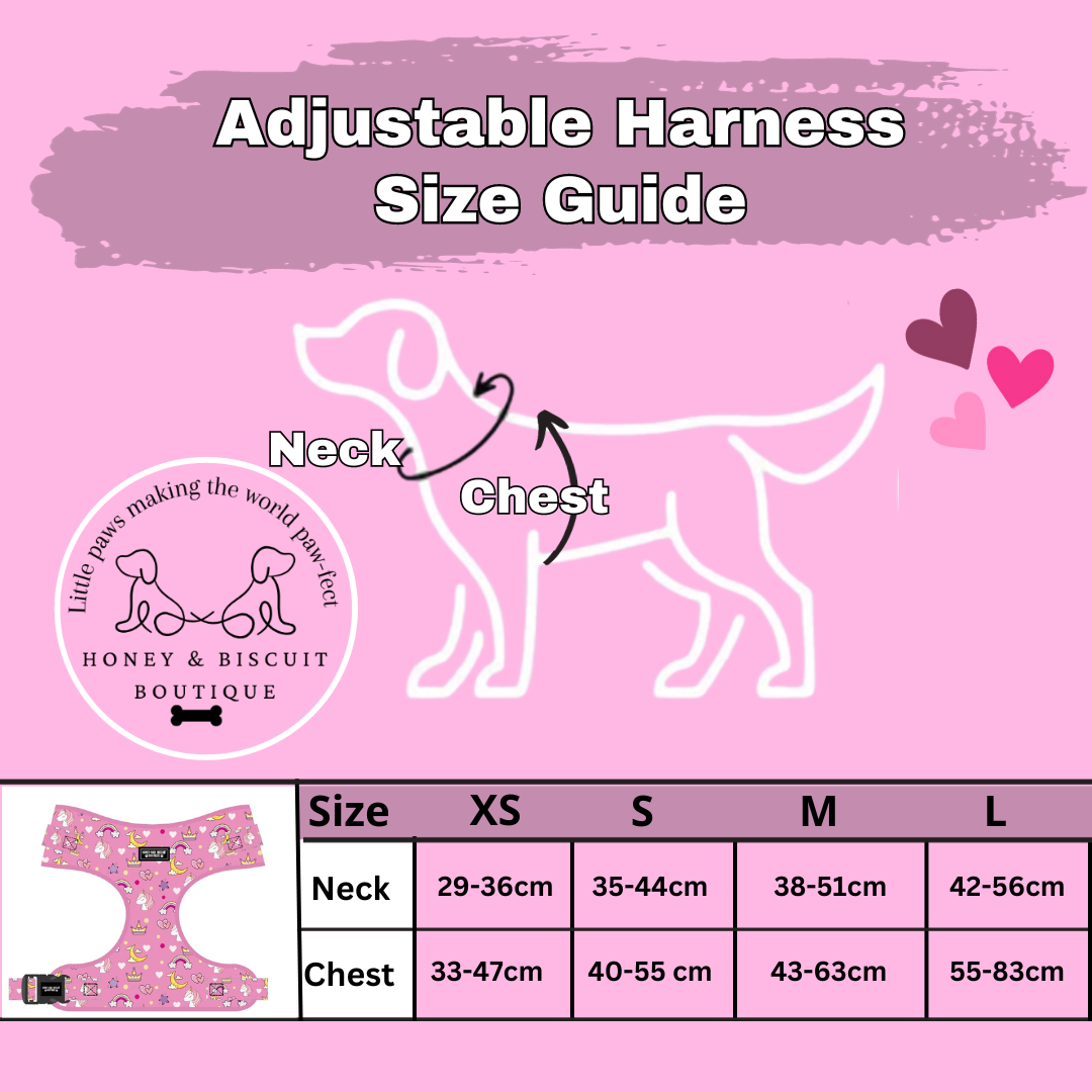 Dog Harness, Collar & Lead Bundle - Rainbow Dreams