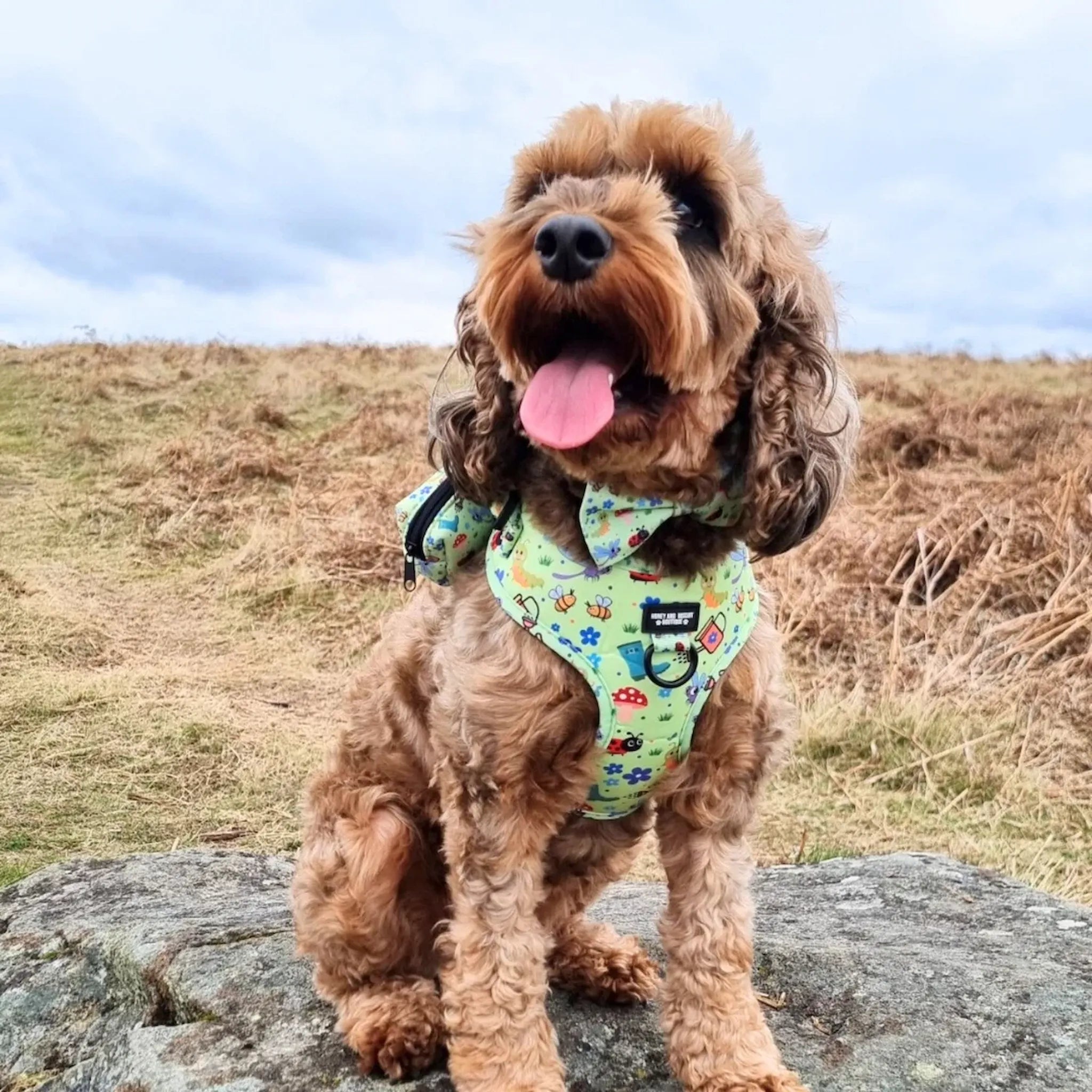 Bugalicious Garden, No Pull Dog Harness