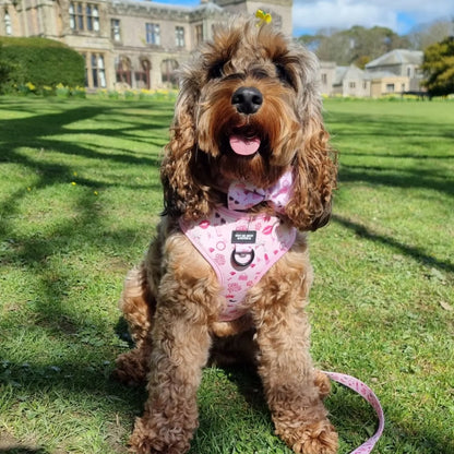 Girl Boss, No Pull Dog Harness