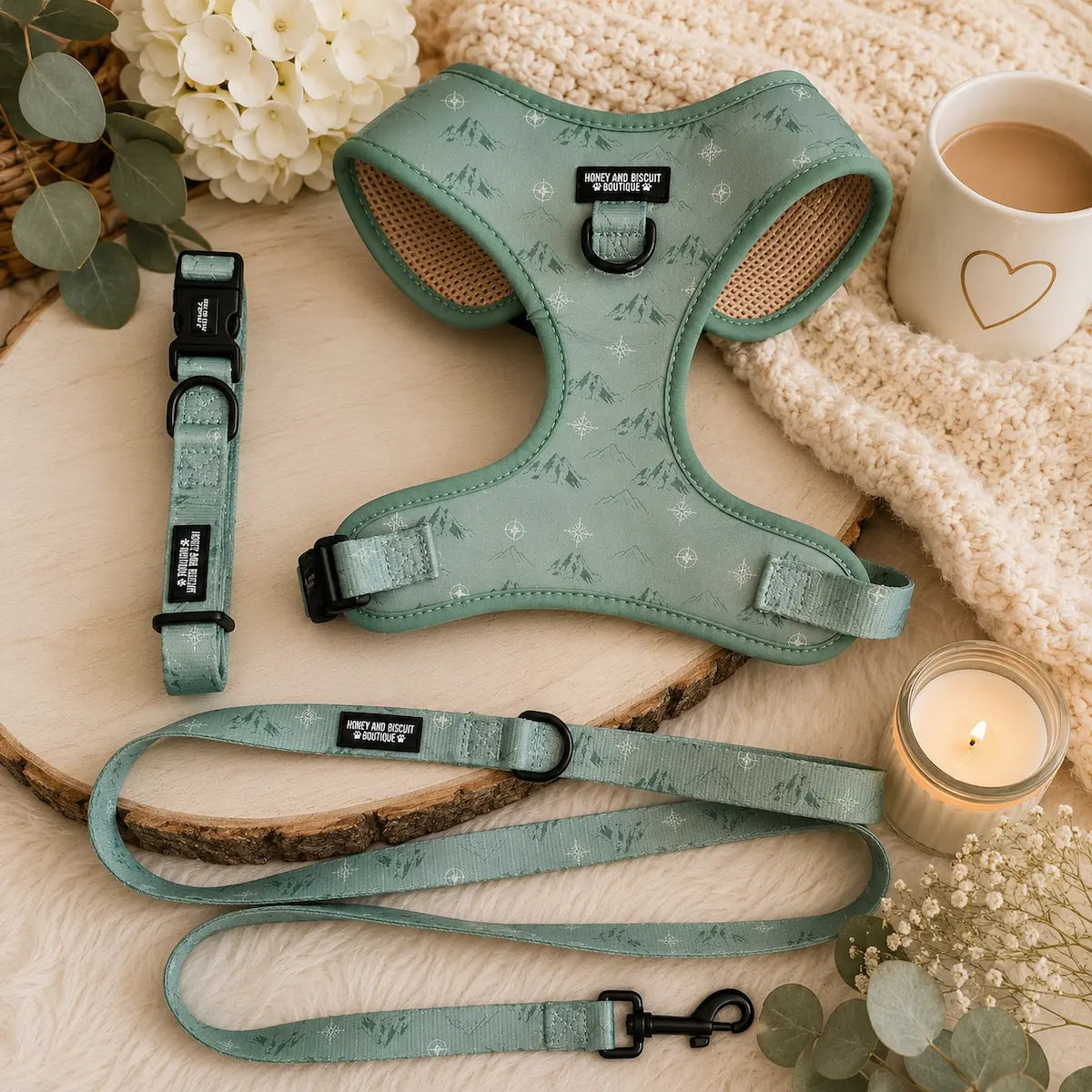Free & Wild – Harness, Lead & Collar Bundle (3 Piece Set)