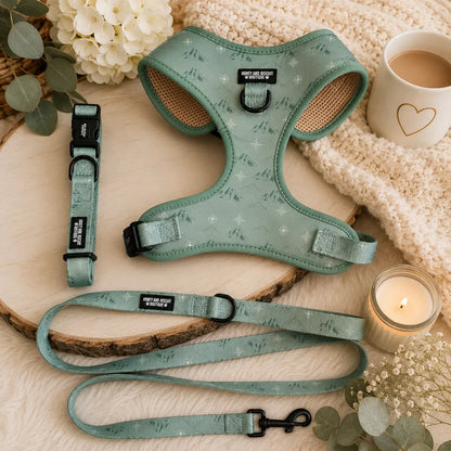 Free & Wild – Harness, Lead & Collar Bundle (3 Piece Set)