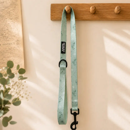 Dog Lead/Leash - Free & Wild