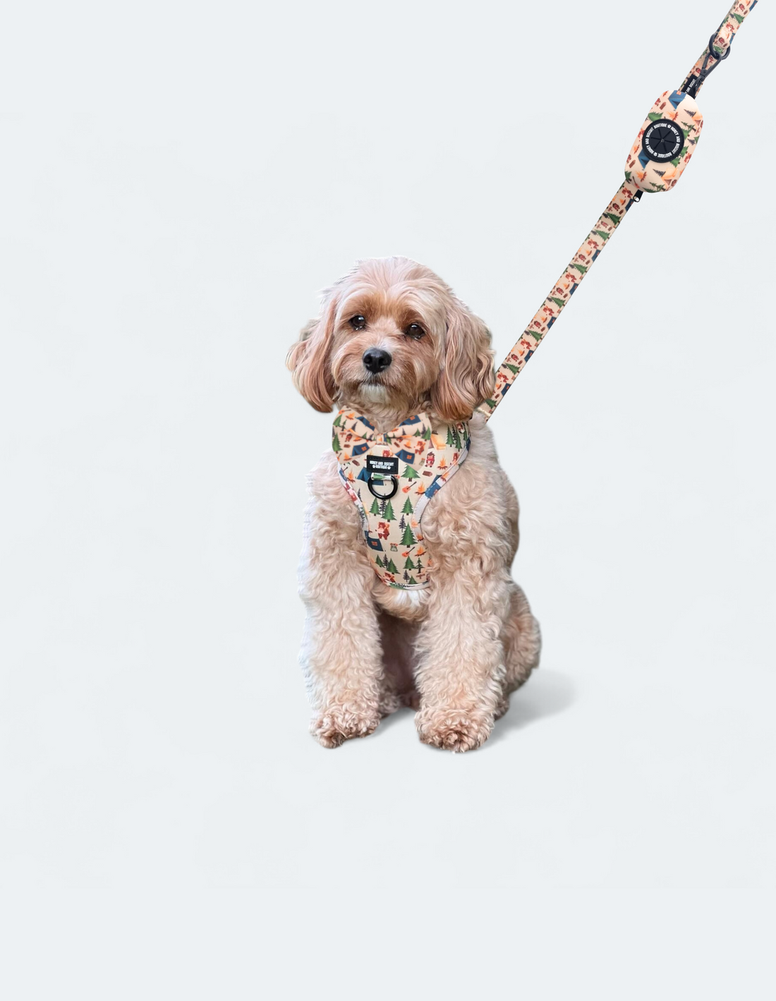 Dog Walkies Bundle - Pups in the Woods