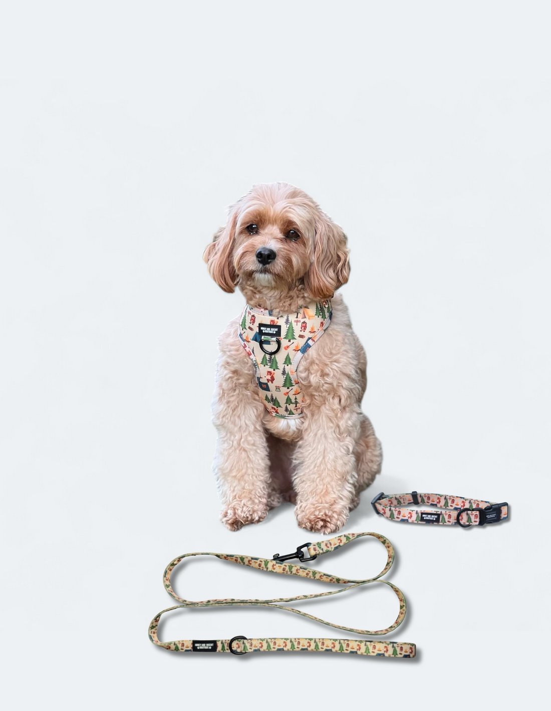 Dog Harness, Collar & Lead/Leash Bundle - Pups In The Woods