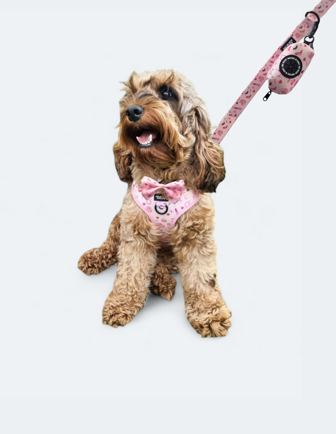 Dog Walkies Bundle - Girl Boss