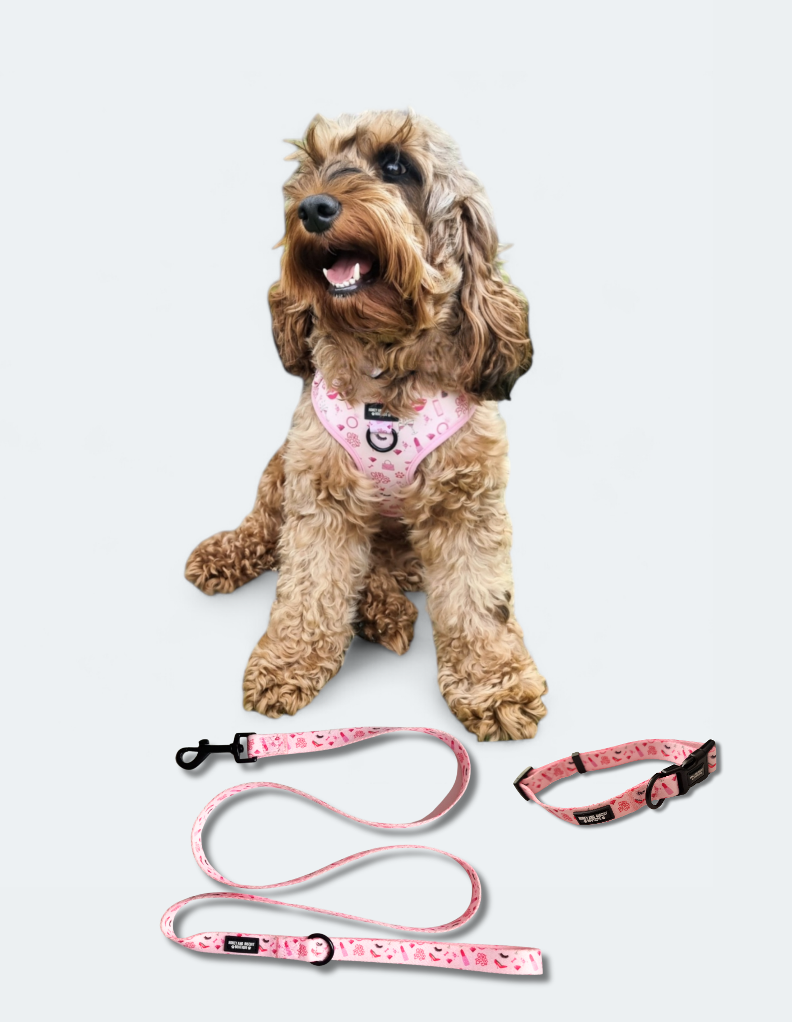 Dog Harness, Collar & Lead Bundle - Girl Boss
