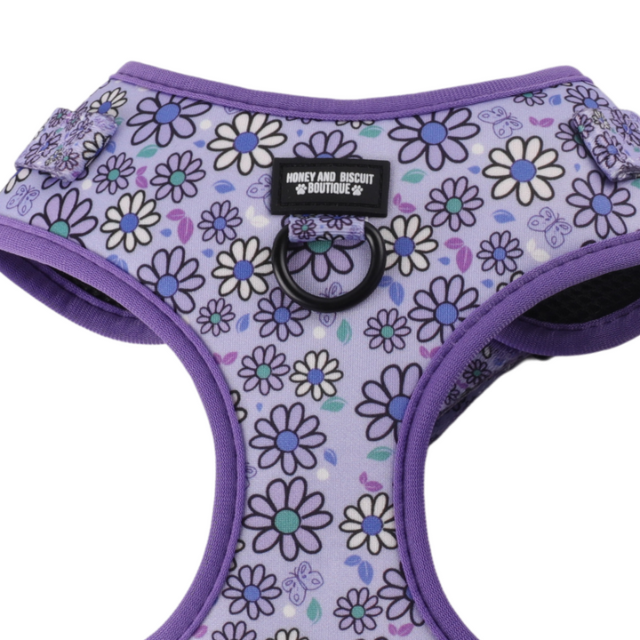 Close up of pubs a daisy lilac adjustable dog harness
