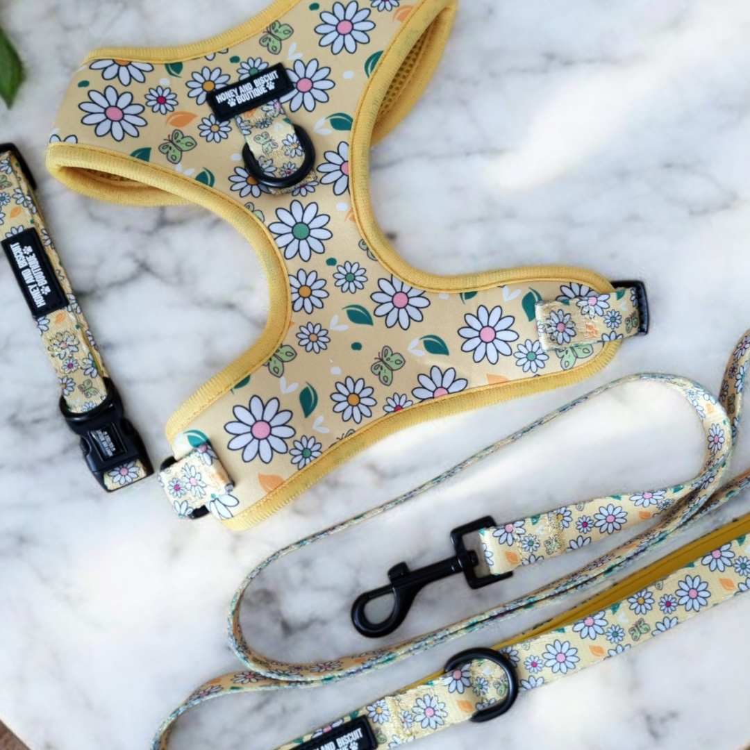 Dog Harness, Collar & Lead Bundle - Pups A Daisy Yellow