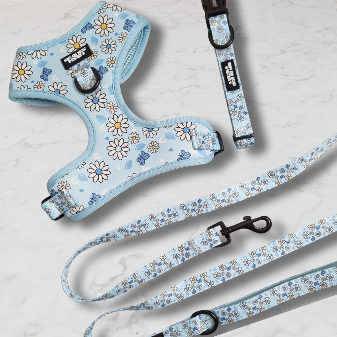 Dog Harness, Collar & Lead Bundle - Pups A Daisy Blue