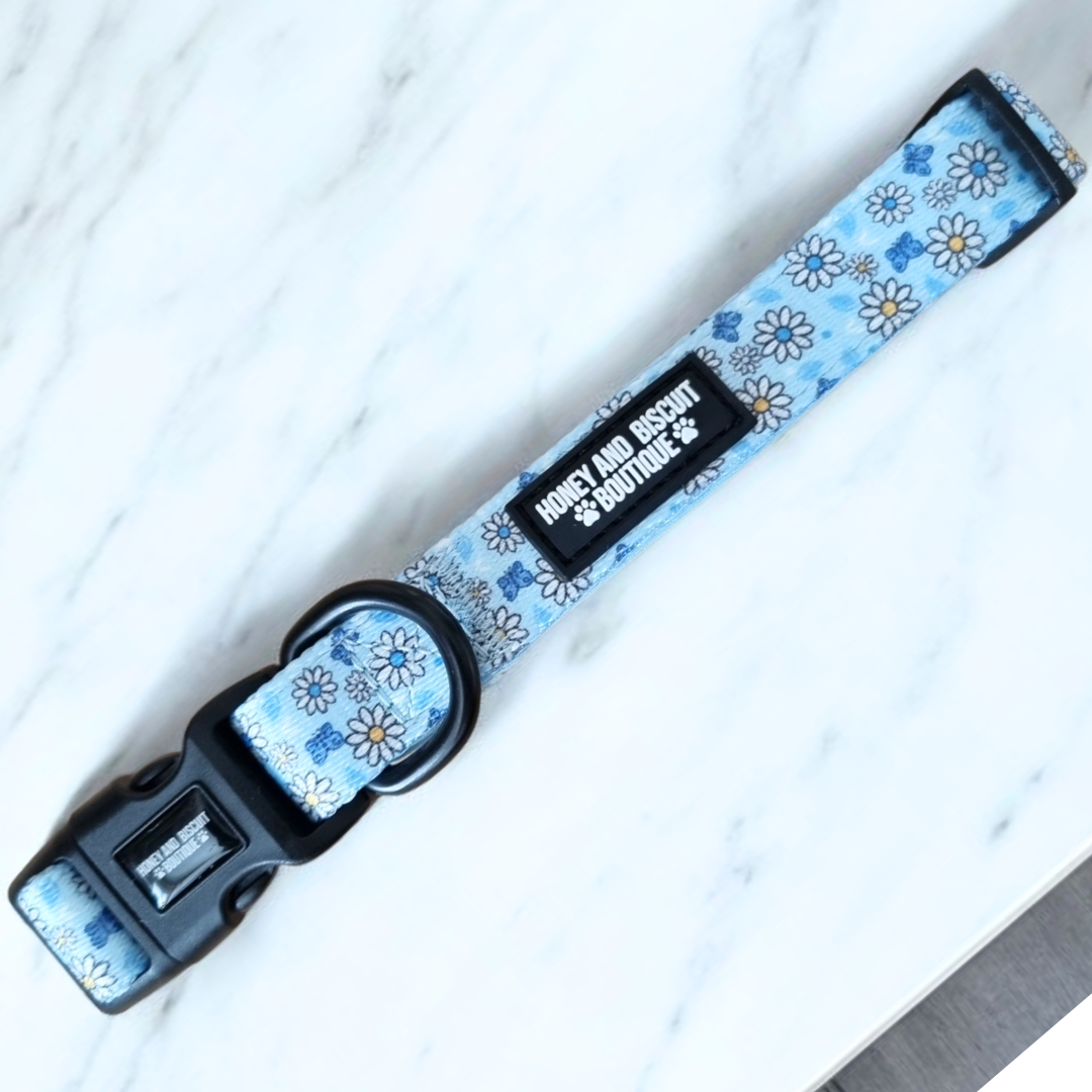 Dog Collar - Pups A Daisy Blue Extra Small