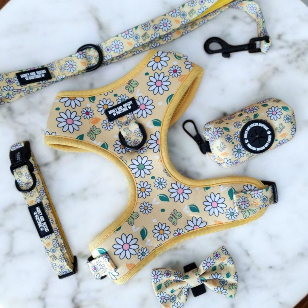 Dog Walkies Bundle - Pups A Daisy Yellow