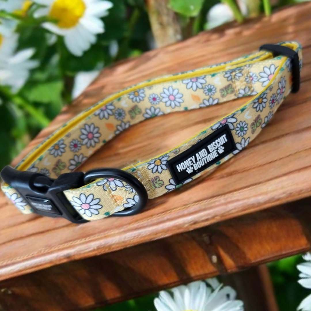 Dog Collar - Pups A Daisy Yellow