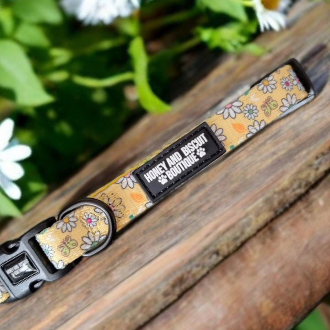 Dog Collar - Pups A Daisy Yellow Extra Small