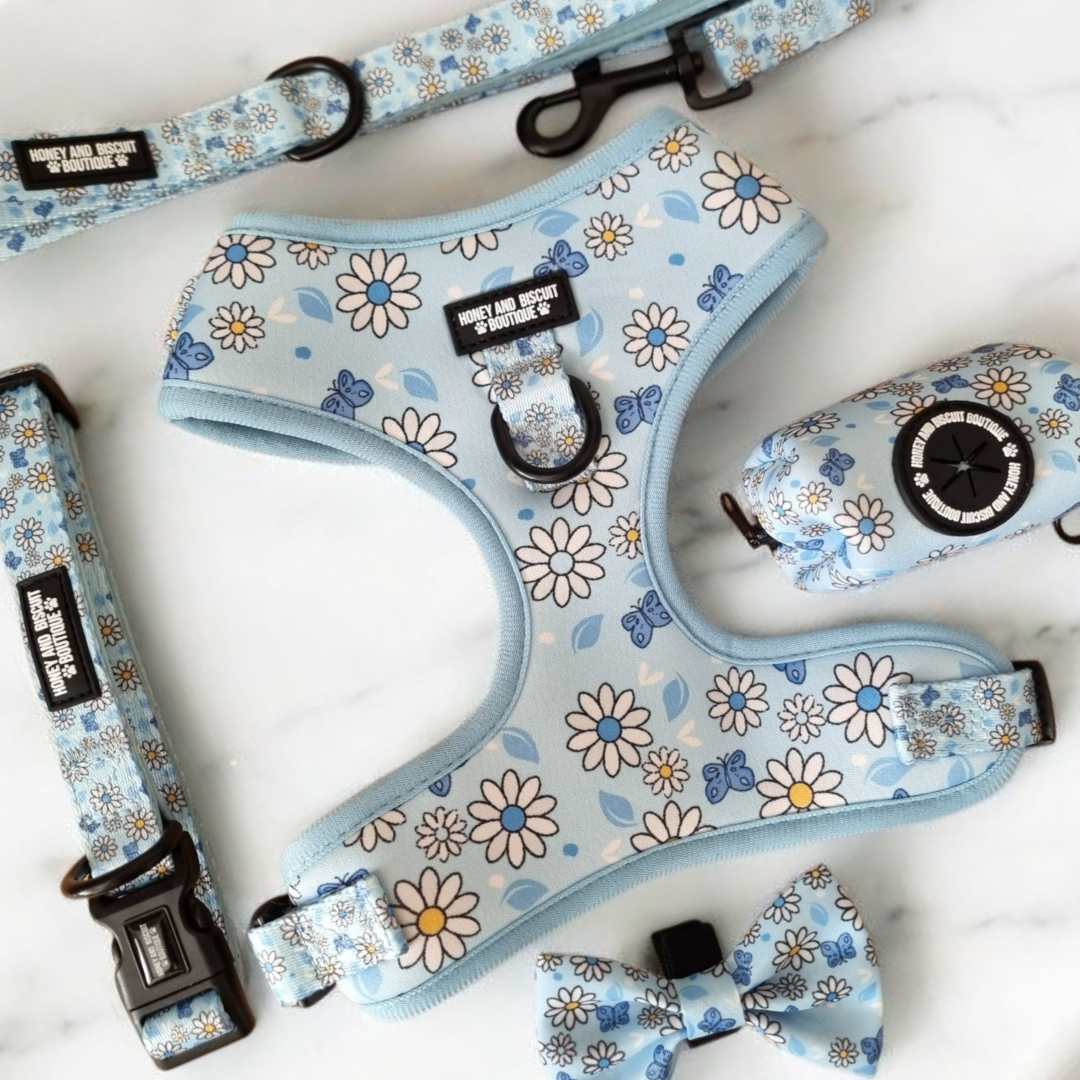 Dog Walkies Bundle - Pups A Daisy Blue