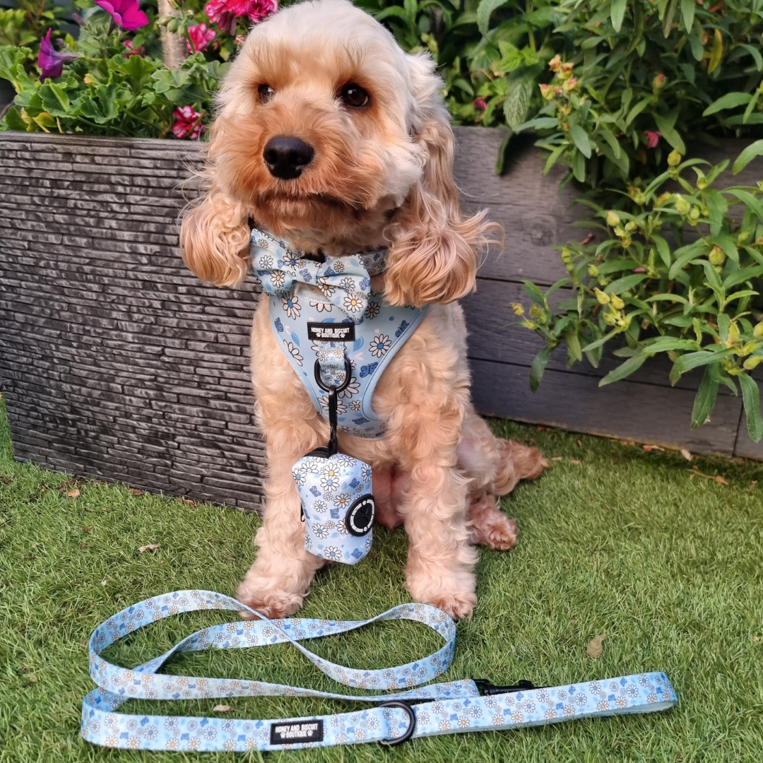 Dog Walkies Bundle - Pups A Daisy Blue