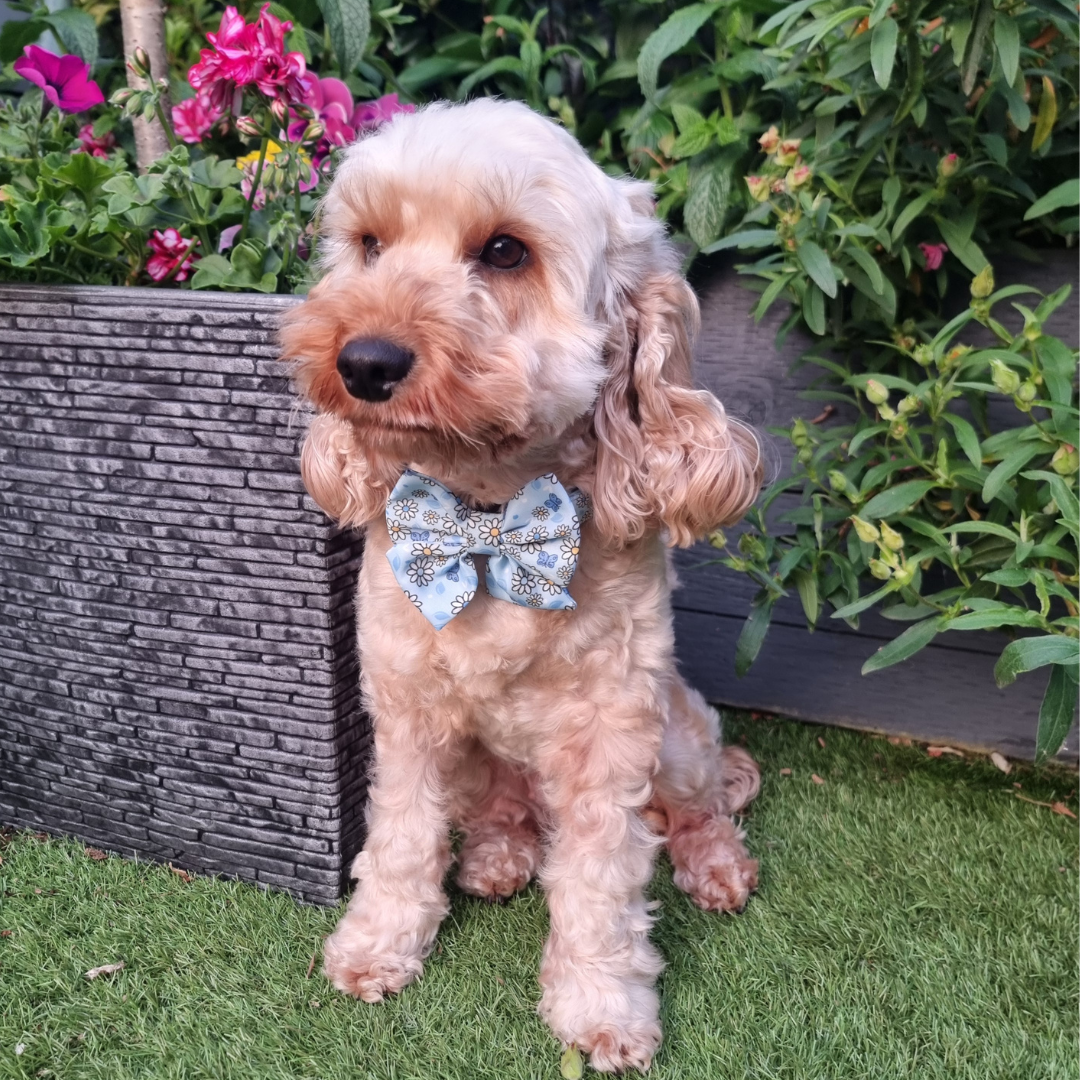 Pups A Daisy Blue Sailor Bow