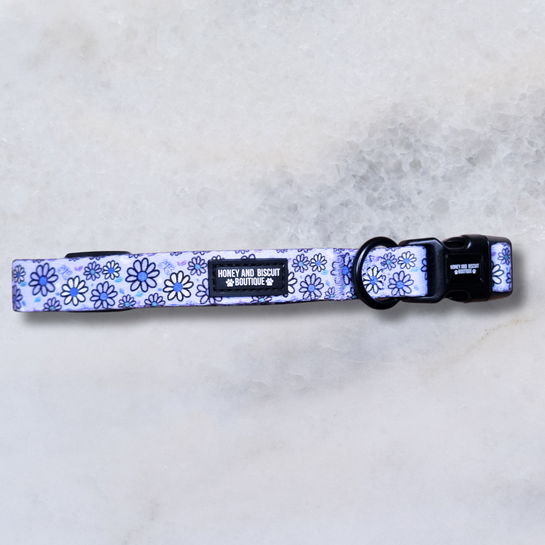 Pups A Daisy Lilac – Harness, Lead & Collar Bundle (3 Piece Set)