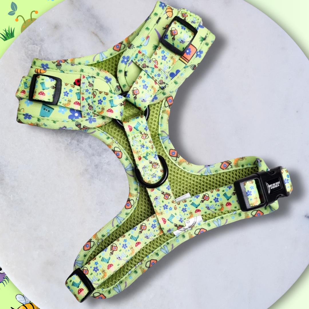 Dog Walkies Bundle - Bugalicious Garden