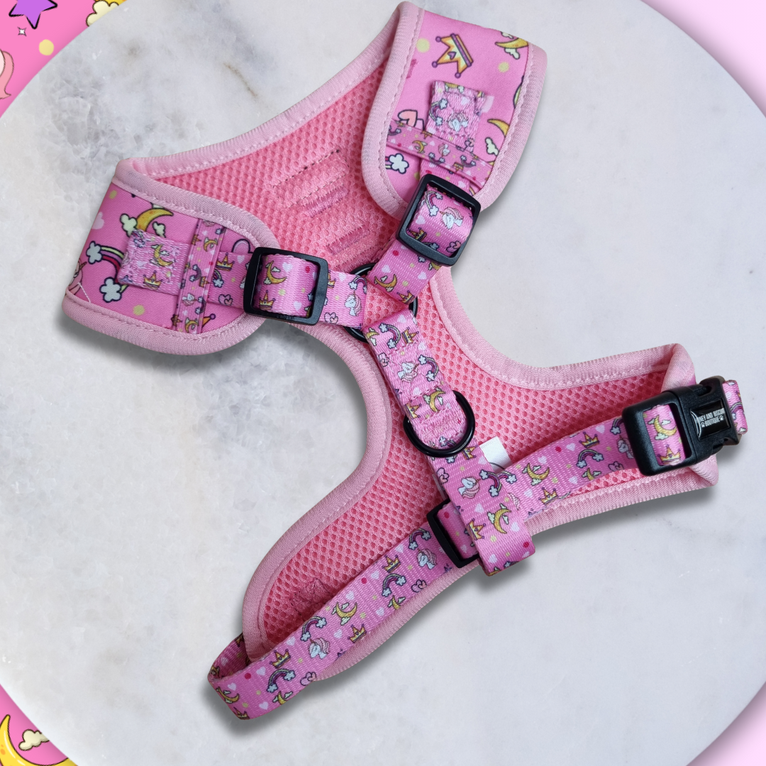 Dog Walkies Bundle - Rainbow Dreams