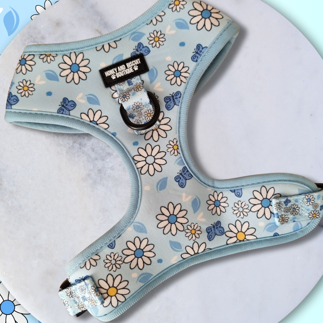 Adjustable Dog Harness Pups a Daisy Blue