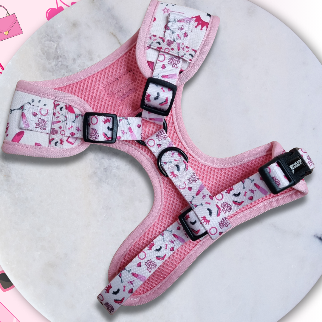 Dog Walkies Bundle - Girl Boss