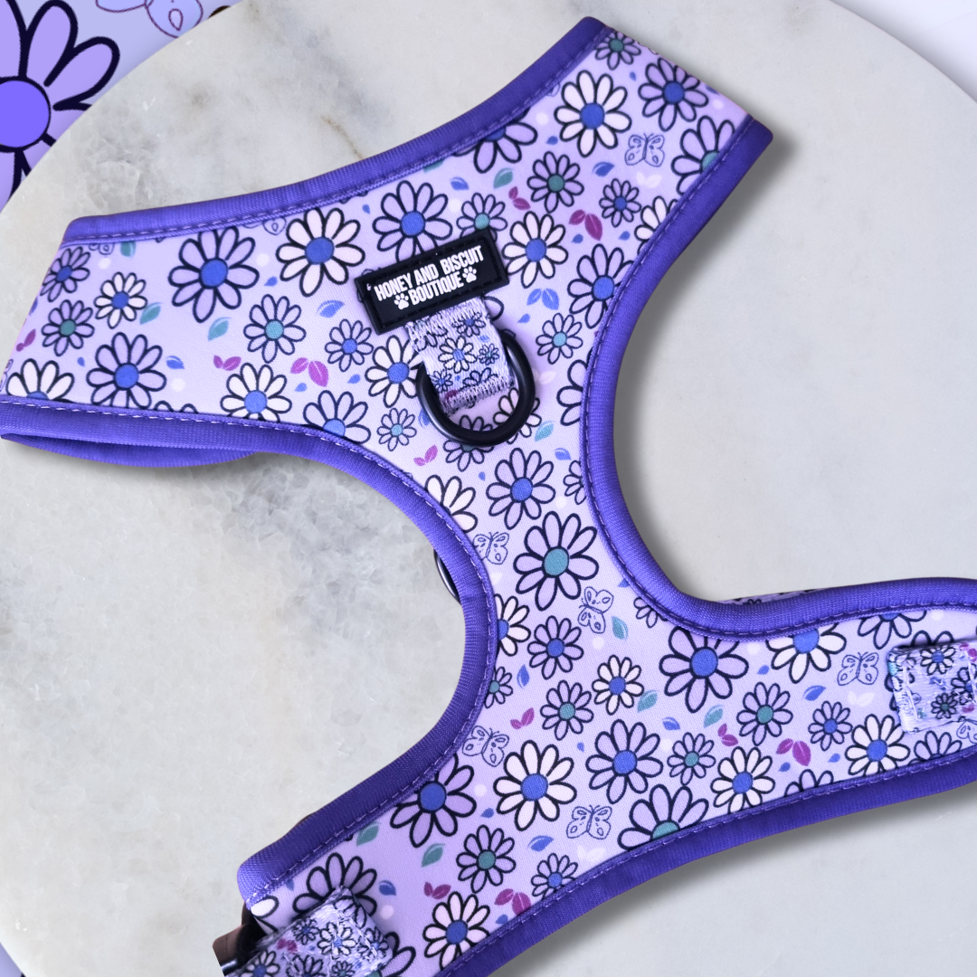 Dog Walkies Bundle - Pups A Daisy Lilac