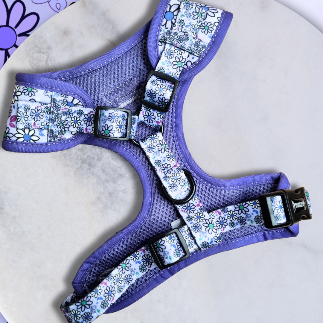 Dog Harness, Collar & Lead Bundle - Pups A Daisy Lilac