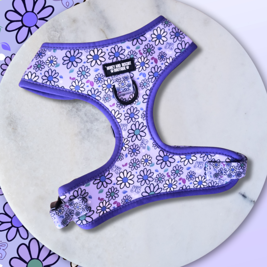 Pups A Daisy Lilac – Harness, Lead & Collar Bundle (3 Piece Set)