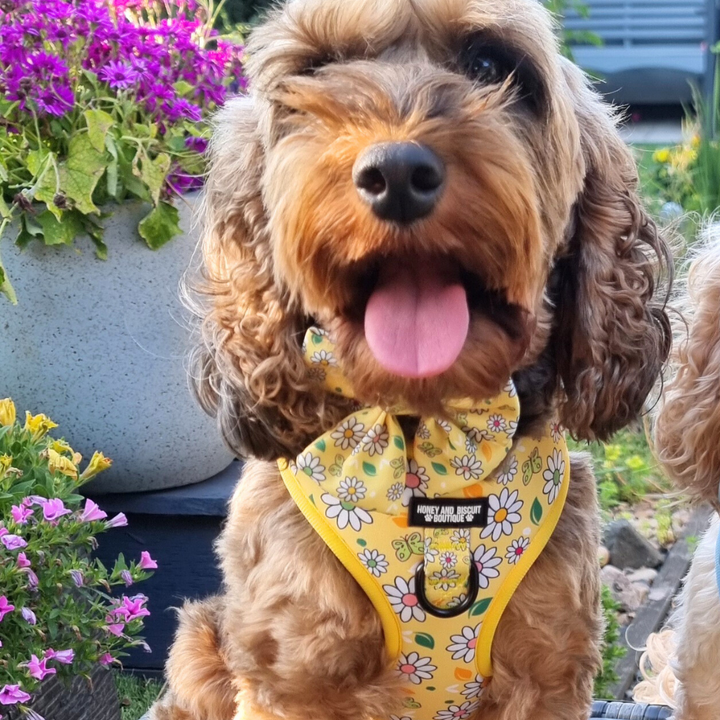 Adjustable Dog Harness Pups a Daisy Yellow