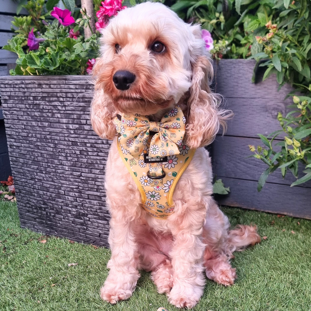 Adjustable Dog Harness Pups a Daisy Yellow