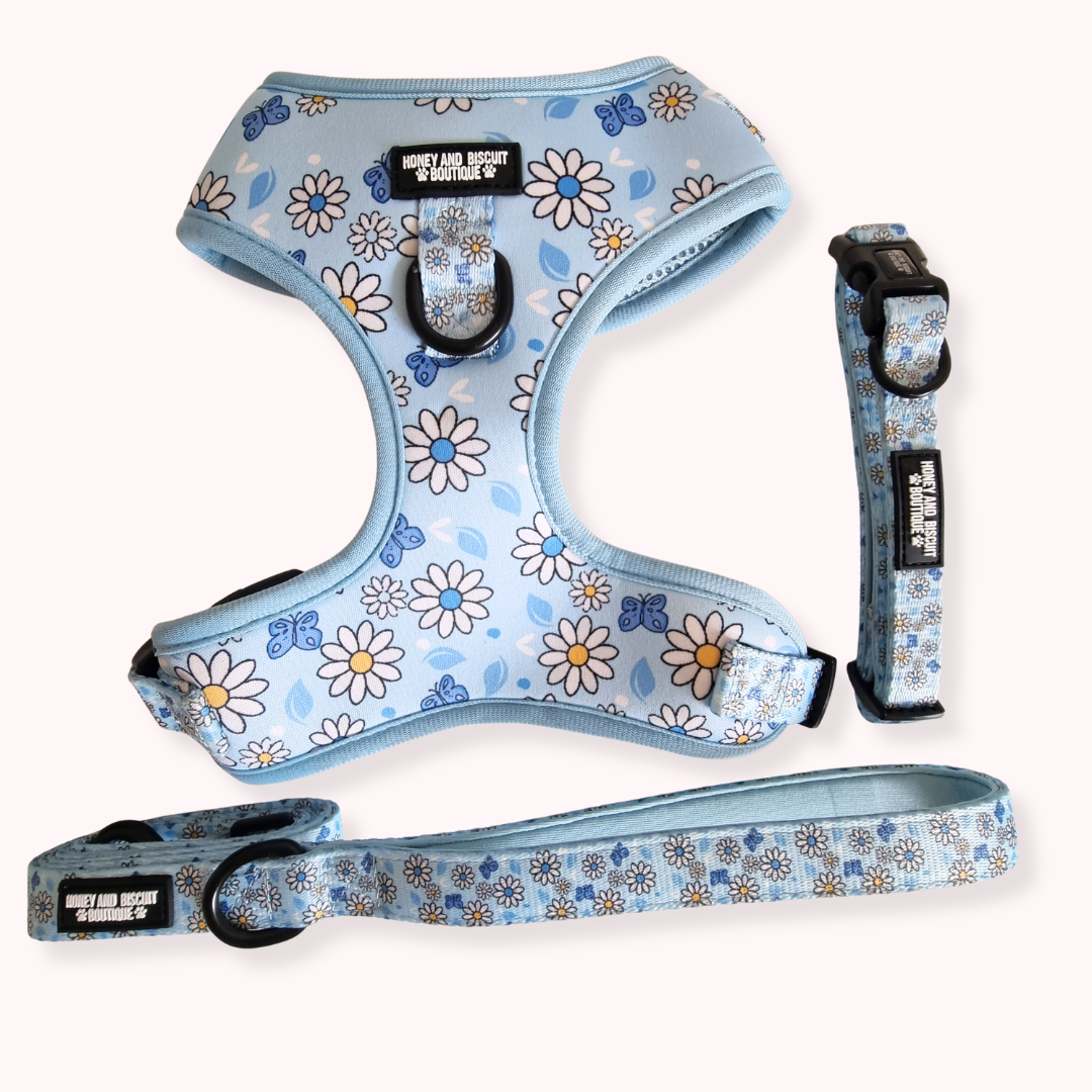 Pups A Daisy Blue – Harness, Lead & Collar Bundle for Small Dogs (3 Piece Set)