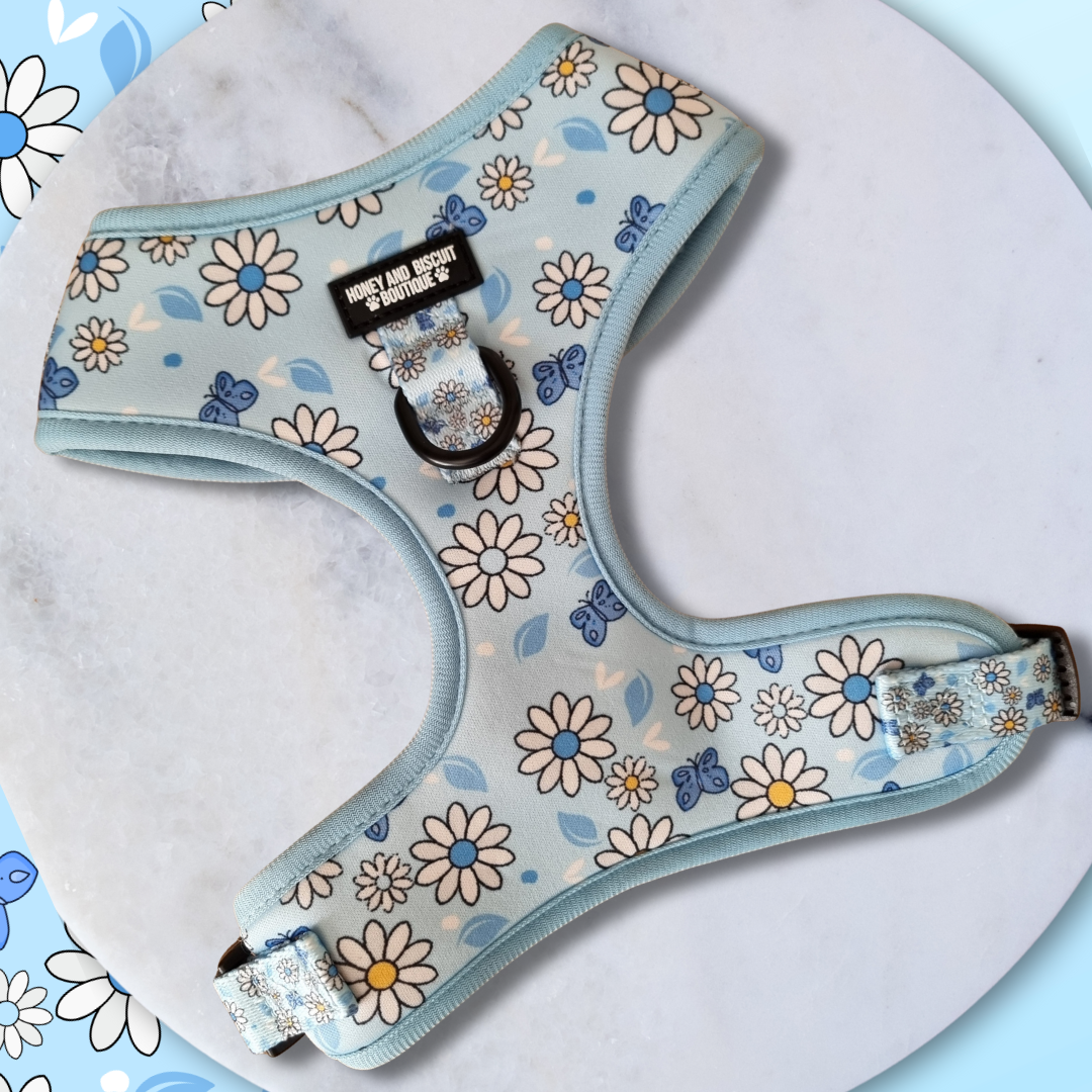 Adjustable Dog Harness Pups a Daisy Blue