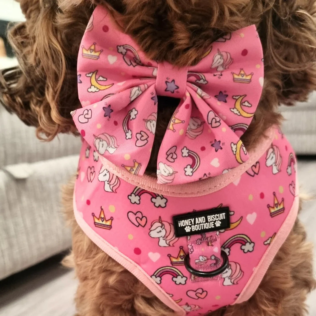 Rainbow Dreams, No Pull Dog Harness