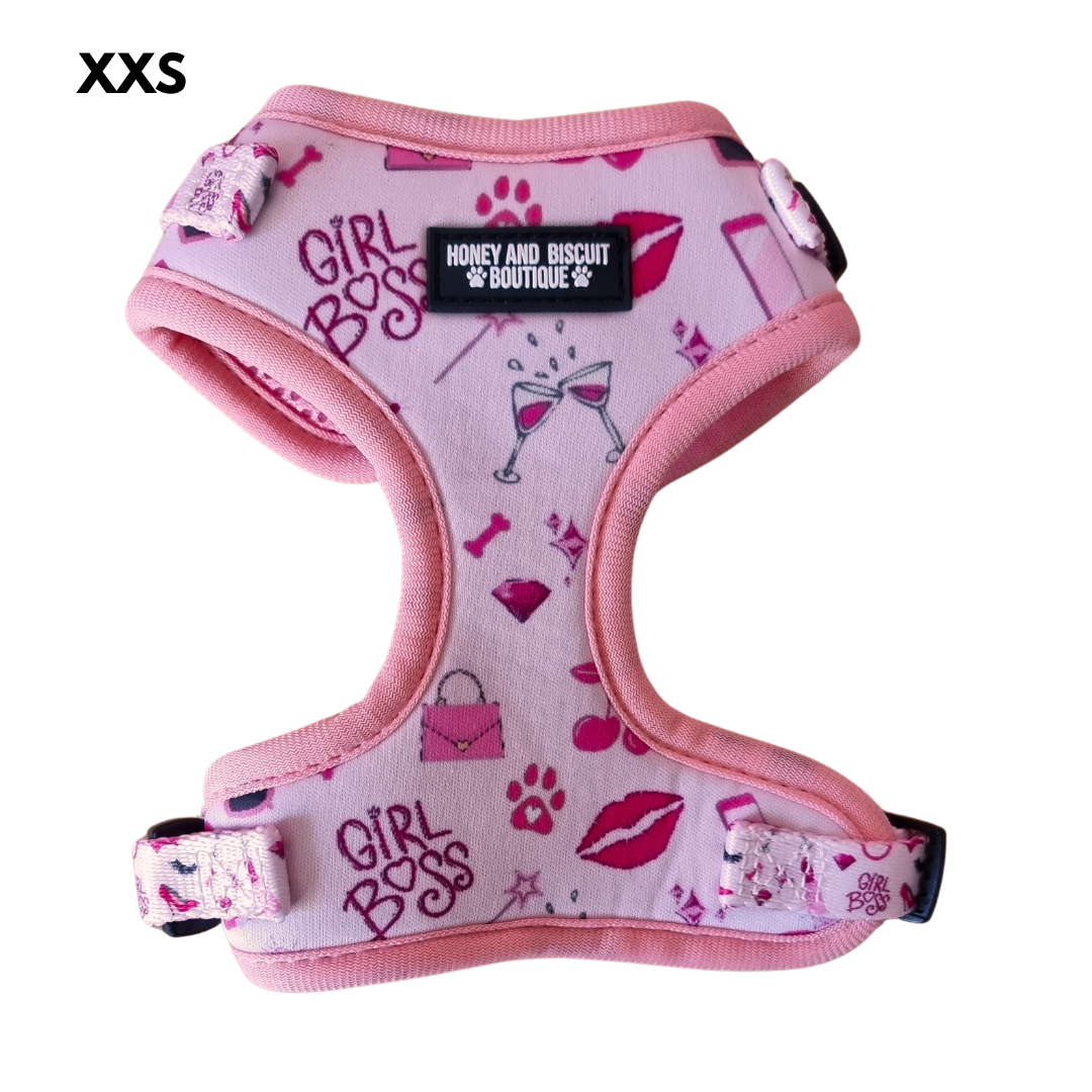 Dog Walkies Bundle - Girl Boss