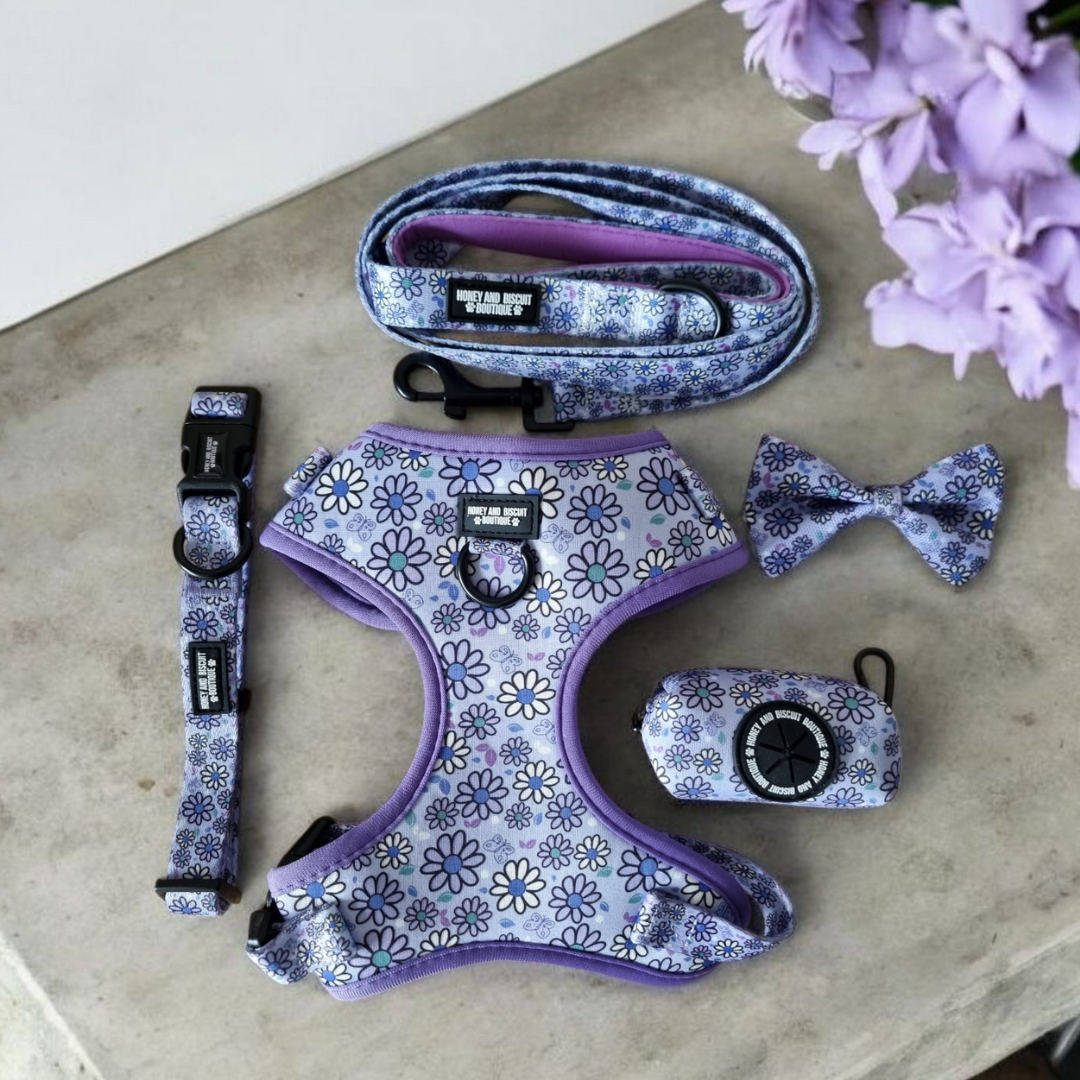 Dog Walkies Bundle - Pups A Daisy Lilac