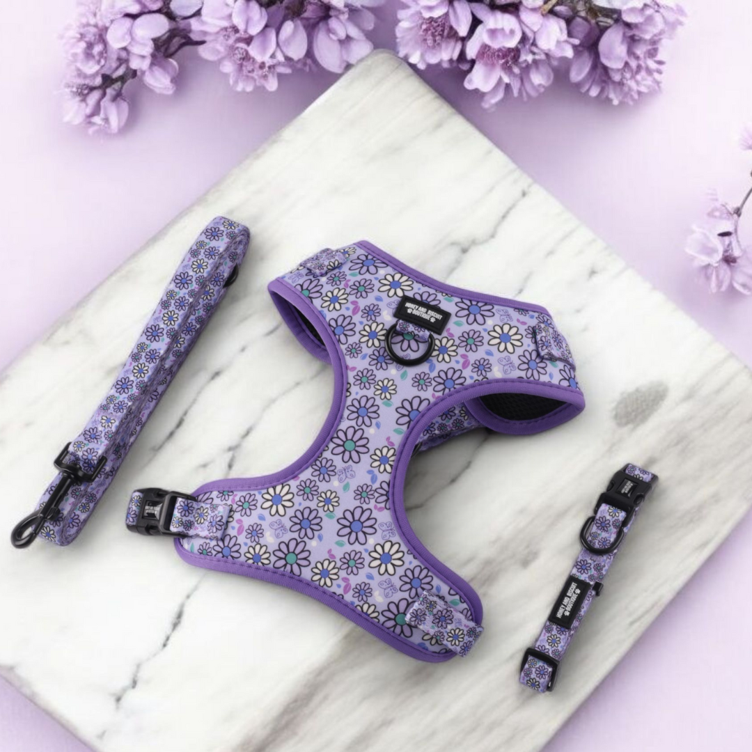 Dog Harness, Collar & Lead Bundle - Pups A Daisy Lilac