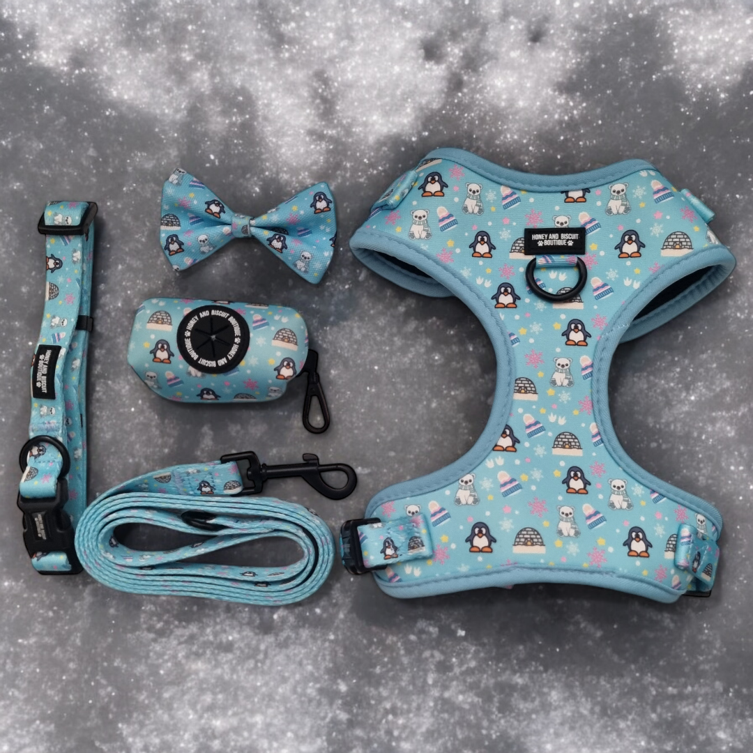 Dog Walkies Bundle - Frosted Delight