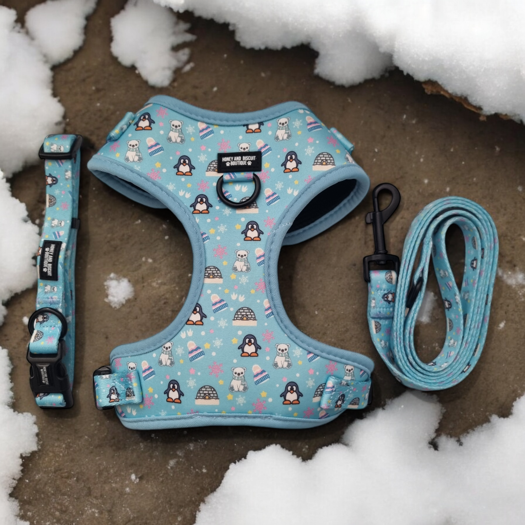 Dog Harness, Collar & Lead Bundle - Frosted Delight