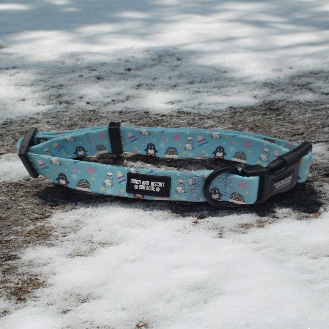 Dog Walkies Bundle - Frosted Delight