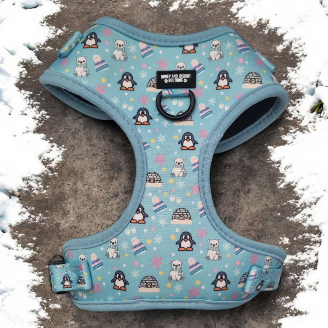 Dog Walkies Bundle - Frosted Delight