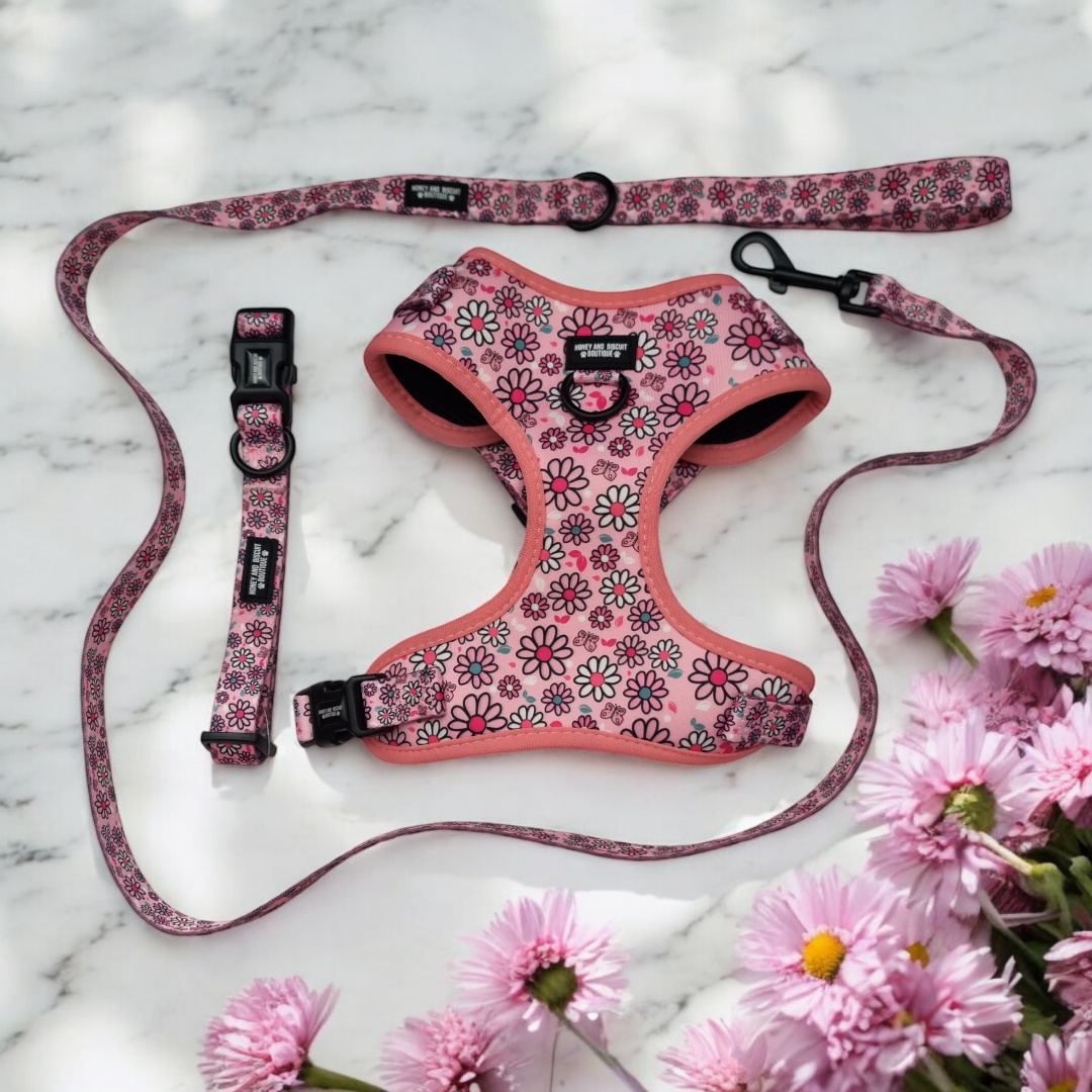 Dog Harness, Collar & Lead Bundle - Pups A Daisy Pink