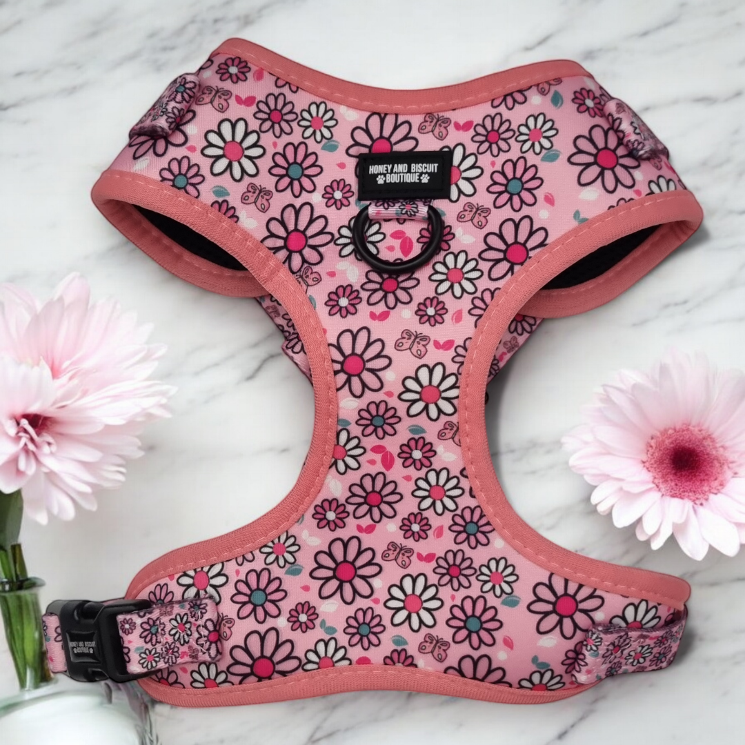 Dog Harness, Collar & Lead Bundle - Pups A Daisy Pink