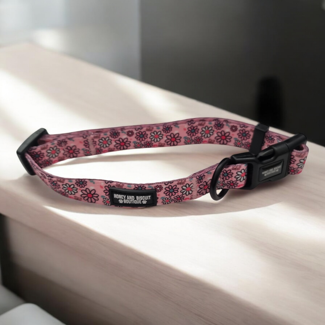 Dog Collar - Pups A Daisy Pink M