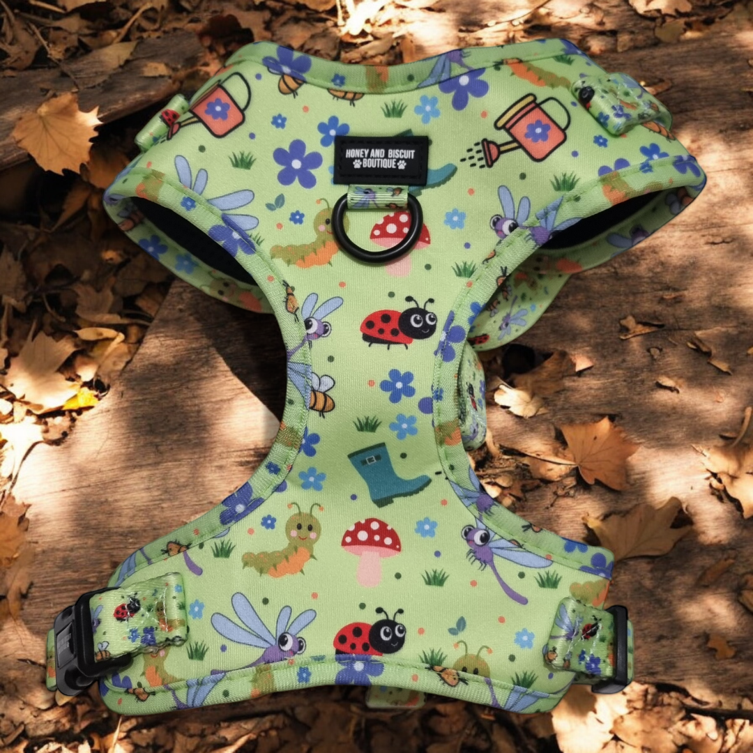 Dog Harness, Collar & Lead Bundle - Bugalicious Garden